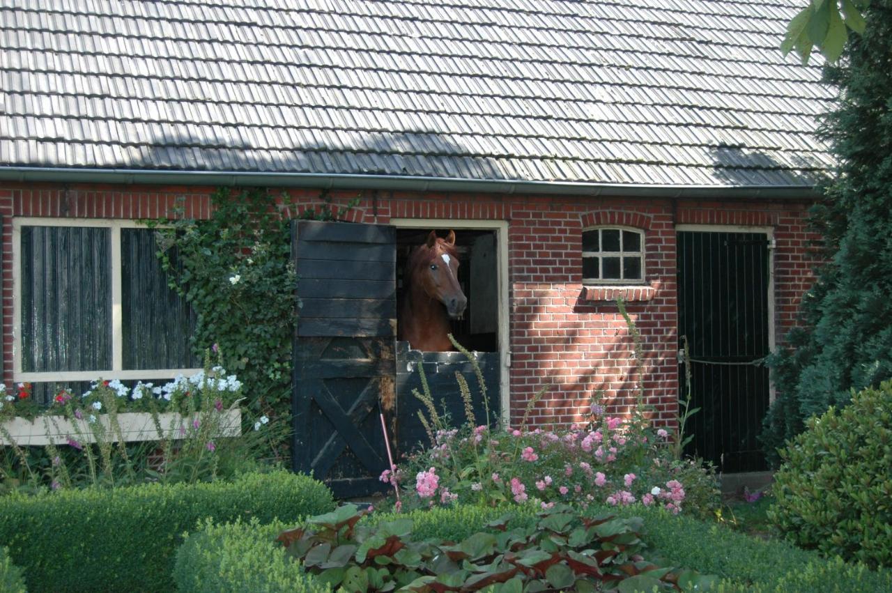 Erve Het Roolvink Boerderij Appartementen 40-50 M2 Enschede Ngoại thất bức ảnh