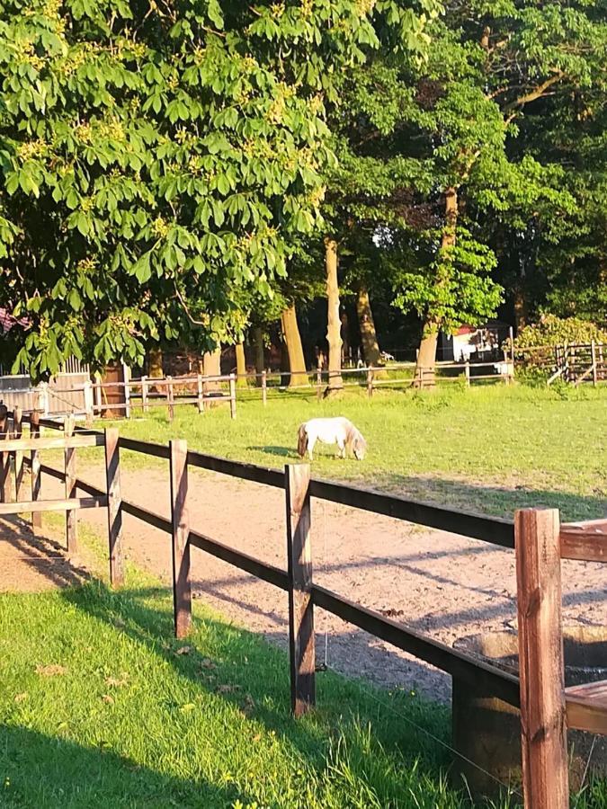 Erve Het Roolvink Boerderij Appartementen 40-50 M2 Enschede Ngoại thất bức ảnh