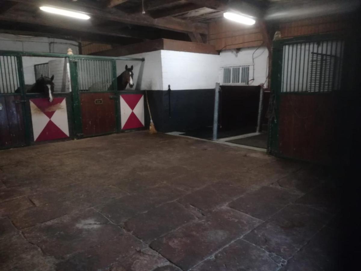 Erve Het Roolvink Boerderij Appartementen 40-50 M2 Enschede Ngoại thất bức ảnh
