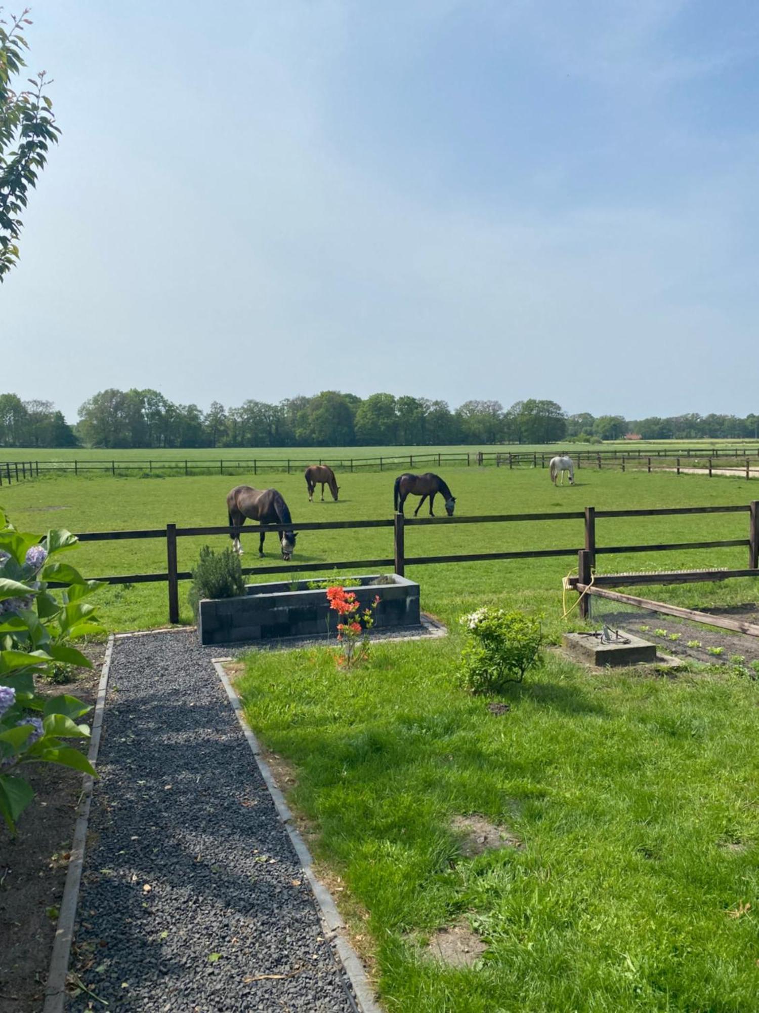 Erve Het Roolvink Boerderij Appartementen 40-50 M2 Enschede Ngoại thất bức ảnh